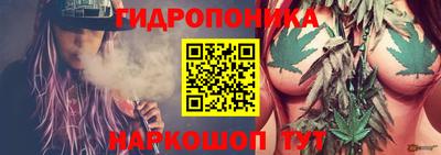 бутират Кингисепп